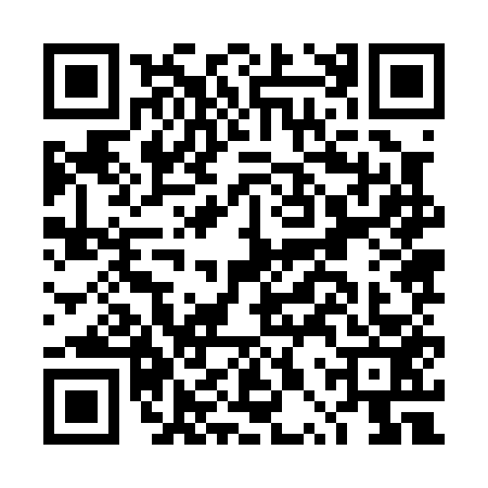 QR code for DPZ0534