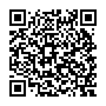 QR code for DQG291