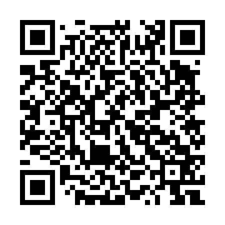QR code for DQG463