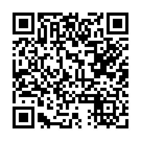 QR code for DQI303