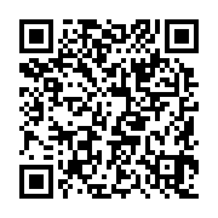 QR code for DQI381