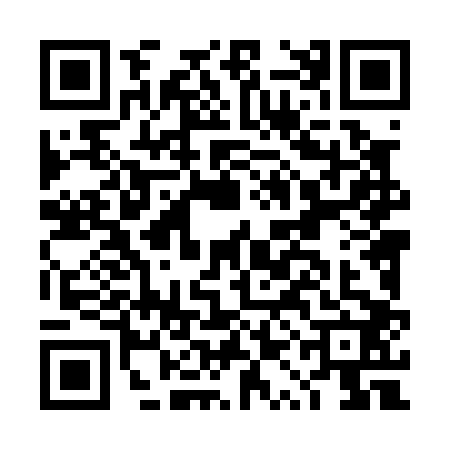 QR code for DQL0029