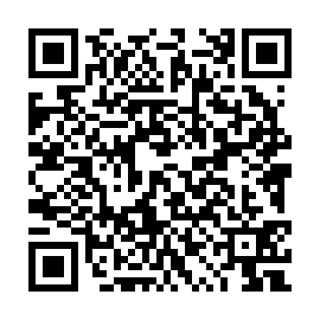 QR code for DQL2313