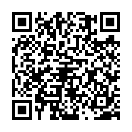 QR code for DQN6379