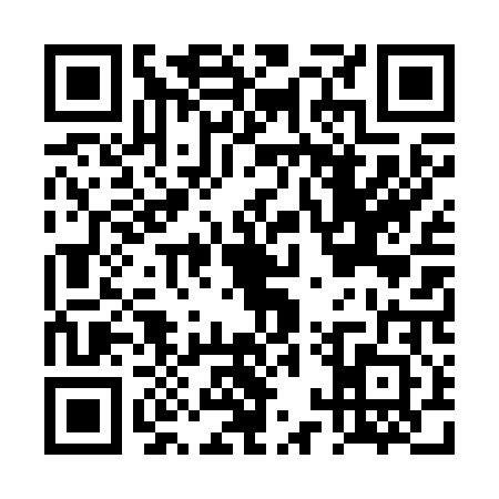 QR code for DQT2025