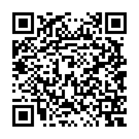 QR code for DQT4646