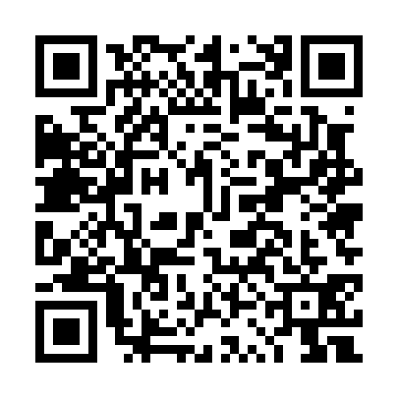 QR code for DSE0315