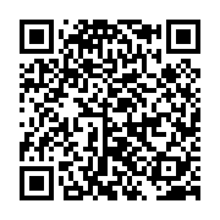 QR code for DSF029