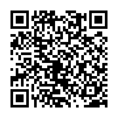 QR code for DSF5253