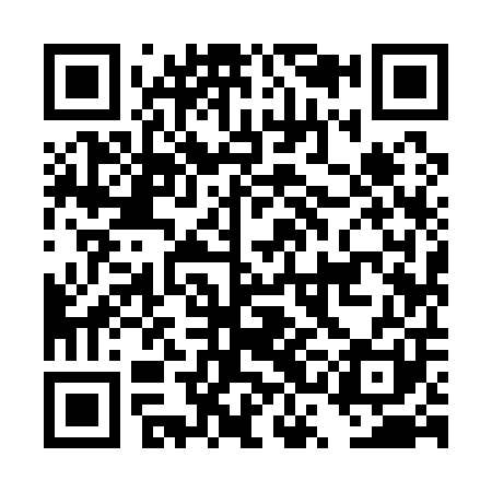QR code for DSI101