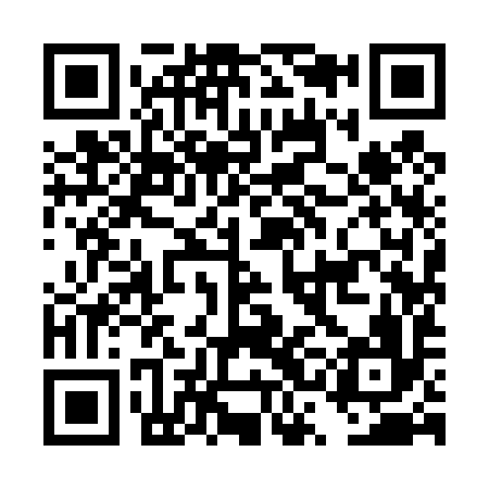 QR code for DSI496