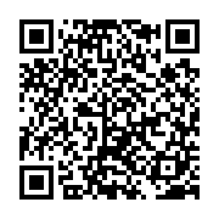 QR code for DSM741