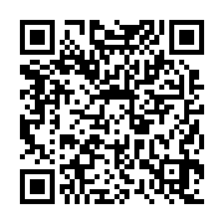 QR code for DSR233