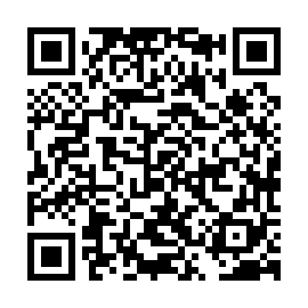 QR code for DSX168