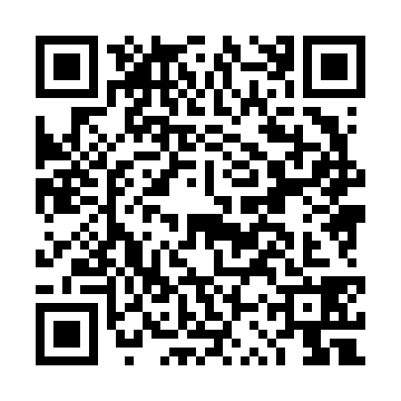 QR code for DSX6382
