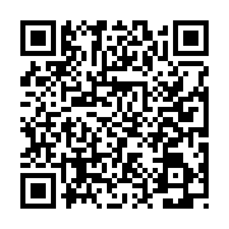 QR code for DUP3165