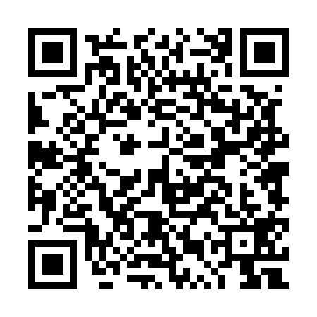 QR code for DUT5196