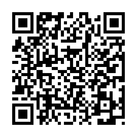 QR code for DUT8399