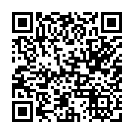 QR code for DVM933
