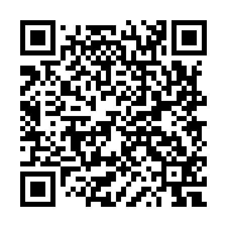 QR code for DVP913