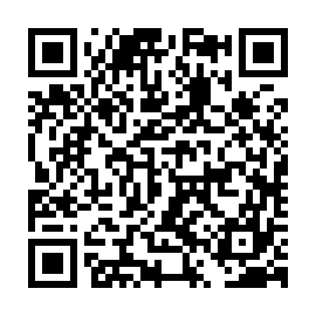 QR code for DVR977