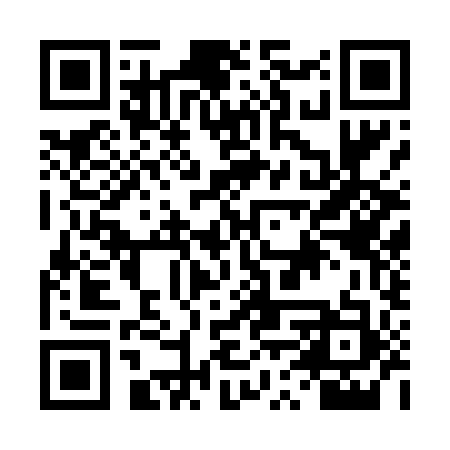 QR code for DVS493