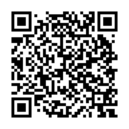 QR code for DVX250