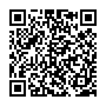 QR code for DWS493