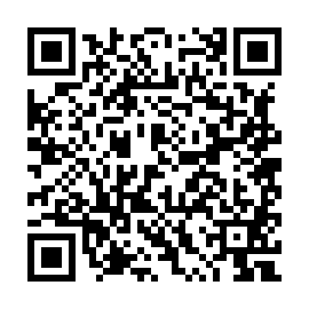 QR code for DXR8811