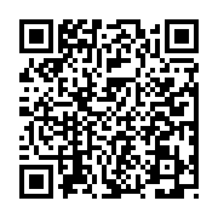QR code for DYB1391