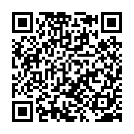 QR code for DYG251