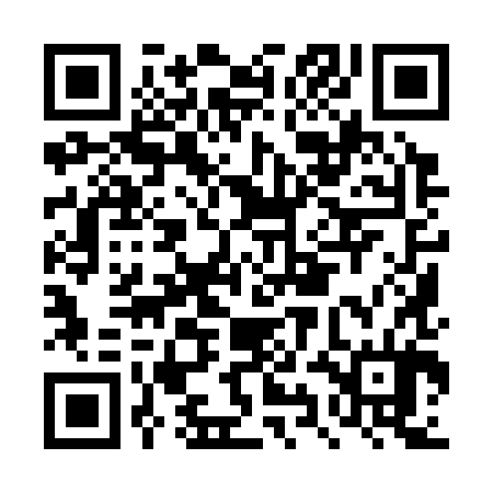 QR code for DYI384