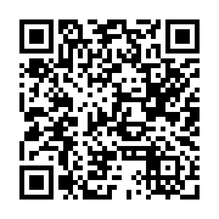 QR code for DYI991