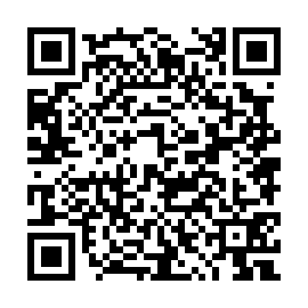 QR code for DYN0713