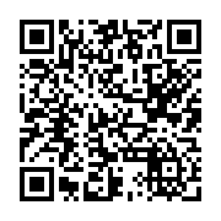 QR code for DYN375