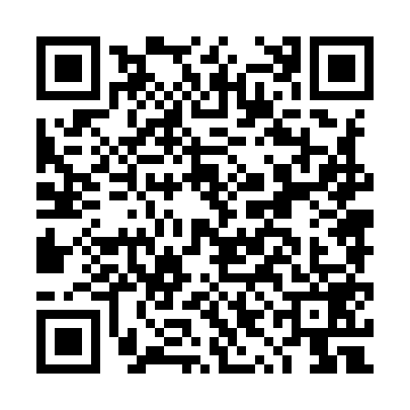 QR code for DYN9590