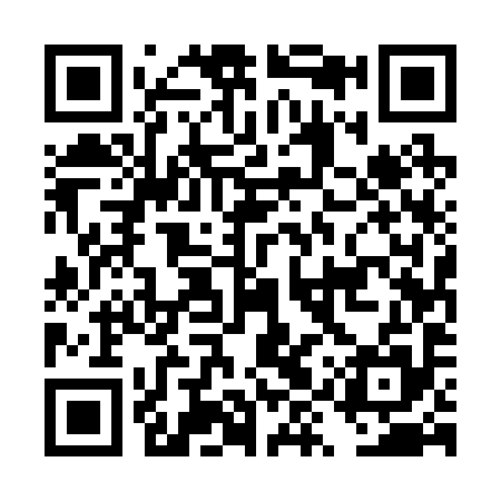 QR code for DYU295