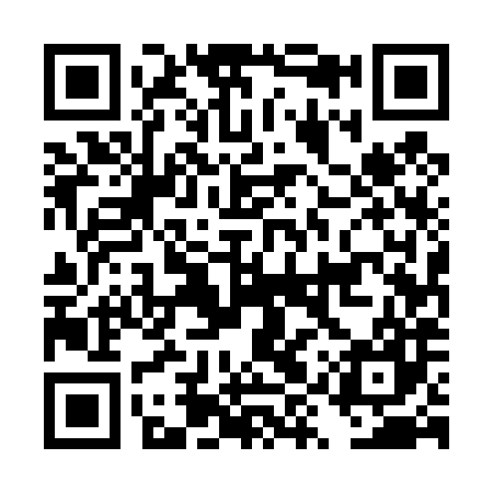 QR code for DYU487