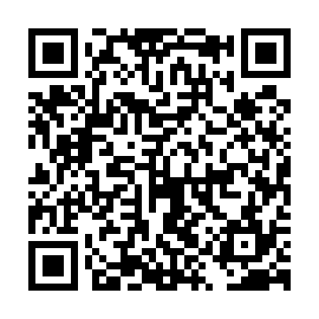 QR code for DYU534