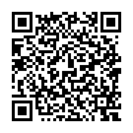 QR code for DYX7973