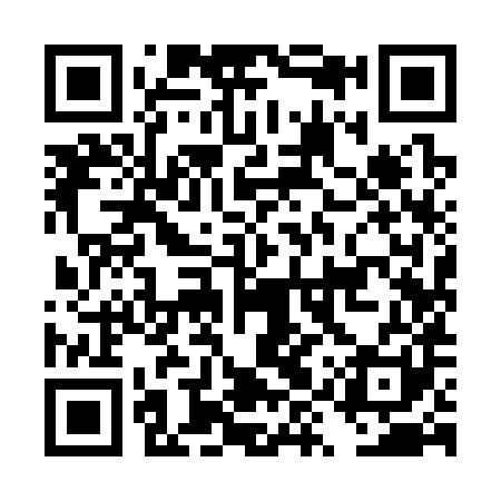 QR code for DYY381