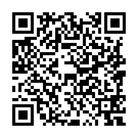 QR code for DZH9984