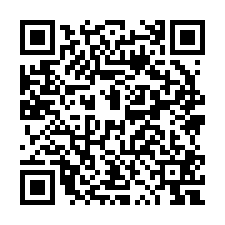 QR code for DZI2012