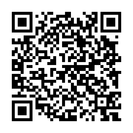 QR code for DZL031