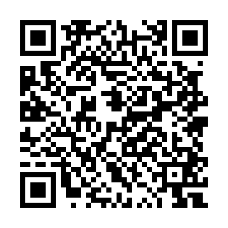 QR code for DZM0419