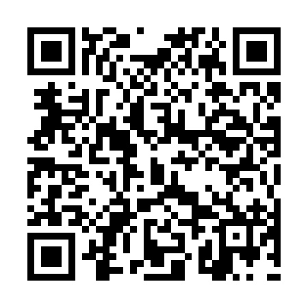 QR code for DZM292