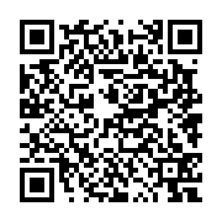 QR code for DZN0337
