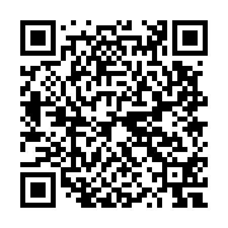 QR code for DZQ510