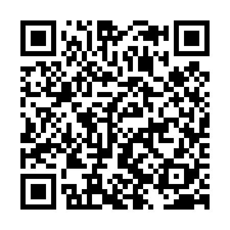 QR code for DZS428