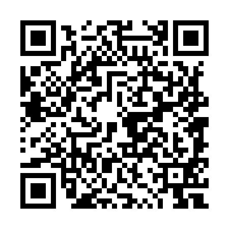 QR code for DZT9916
